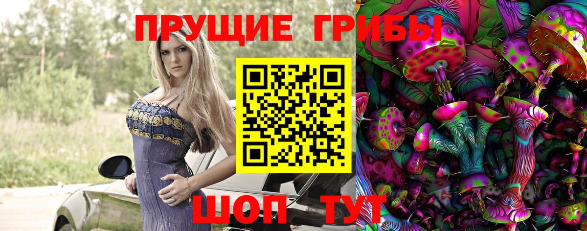 Псилоцибиновые грибы Psilocybine cubensis Учалы