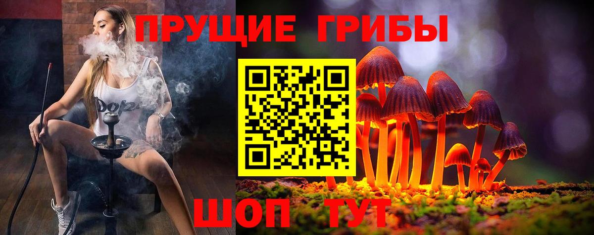 наркота  Галлюциногенные грибы MAGIC MUSHROOMS  Вход с VPN  Учалы 
